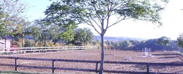 La carriere du Centre Equestre Les Eaux Claires